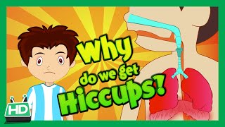 Why Do We Get Hiccups ? Hiccup Causes