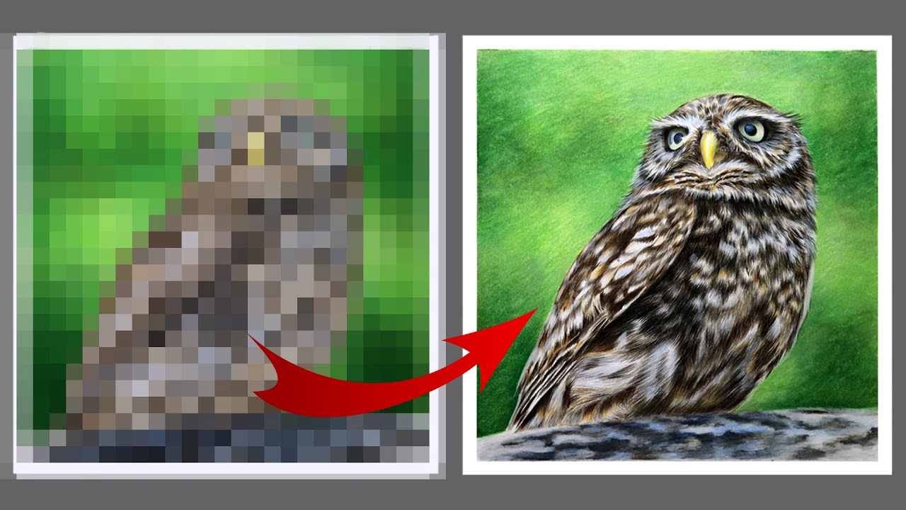 Эта ошибка портит всё 👍СОВЕТЫ как рисовать реалистичных птиц 🔥 Рисунок совы цветными карандашами