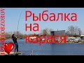 Рыбалка на карася. Плотва, густера и мелочь.