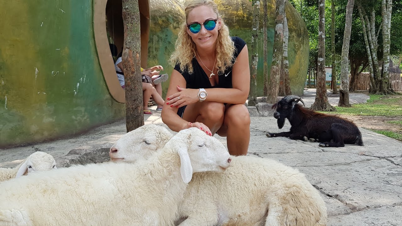 Funny Zoo Animals 