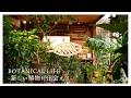 【観葉植物】門前仲町にあるグリーンショップ「MICAN」|ミカン|東京|豊洲|門前仲町