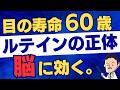 【40代以上は絶対見て】目の寿命は60歳。脳が選んだ「エリート栄養素」ルテインの正体と最強の摂り方