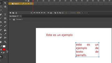 Manejo de textos en flash