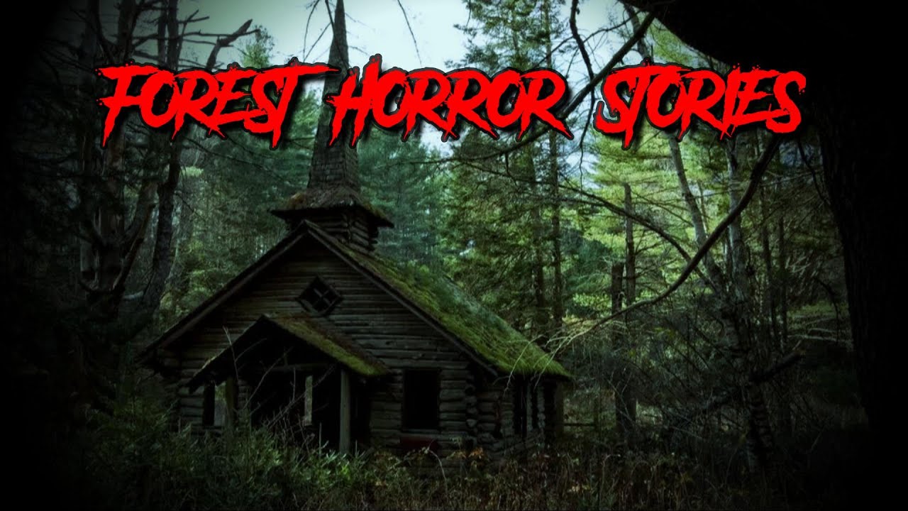 (3) Creepy FOREST Horror Stories [Cult Encounter & MORE!] - YouTube