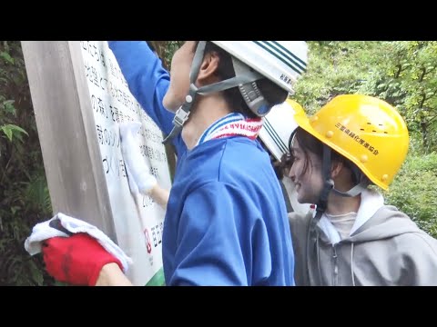 百五銀行の新入行員たちが森林を整備　倒れた木など取り除く