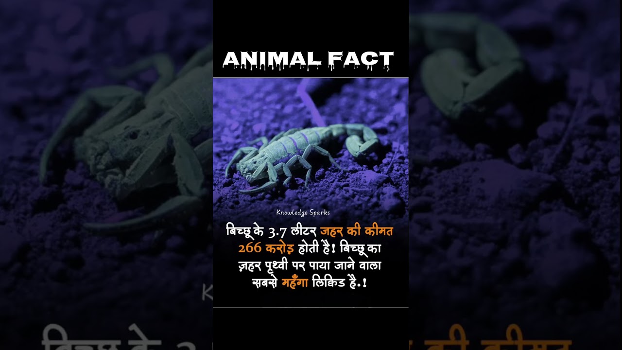 266 करोड़ का सिर्फ 3 लीटर? 😱 World's Most Expensive Liquid! 🦂 