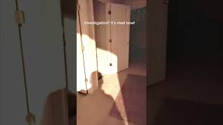 CHILLING Footage Of A REAL SHADOW Figure  #scary #ghost