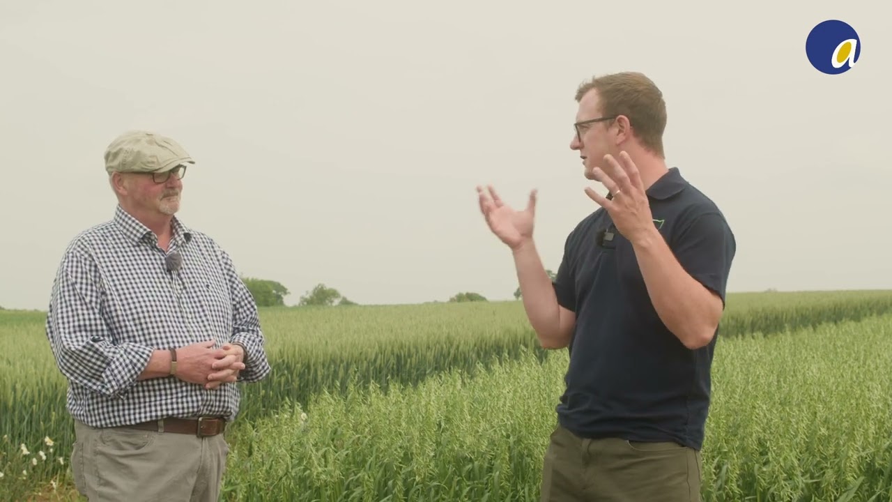 3 ALO t6p: A Biostimulant Making a Real Impact on Your Farm