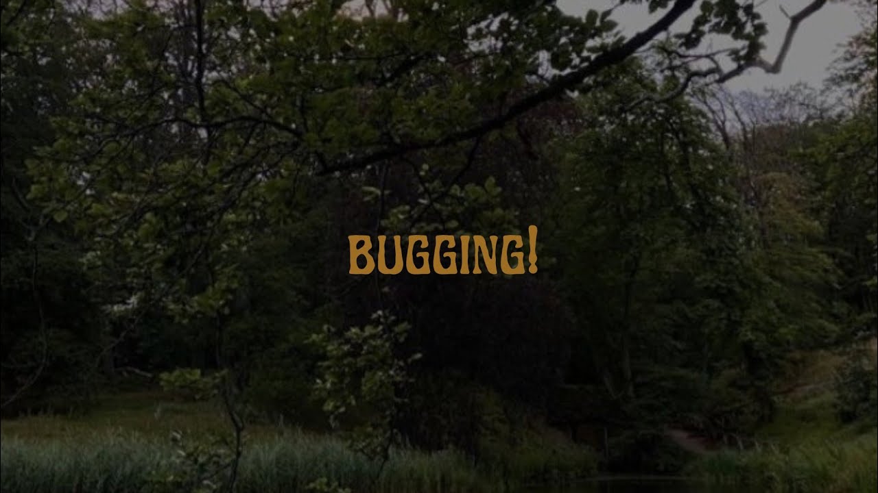 brakence bugging! (sub. español) YouTube