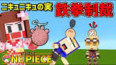 ワンピースmod 武装色の覇気があればゾウゾウ実でもマグマグの実を倒せるの Youtube ワンピースmod 武装色の覇気があればゾウゾウ実でもマグマグの実を倒せるの Youtube