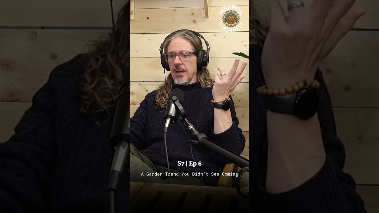 Cabbage Growing Tips