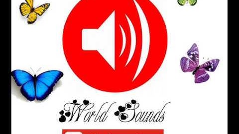 Cảnh sát âm thanh tiếng còi báo động