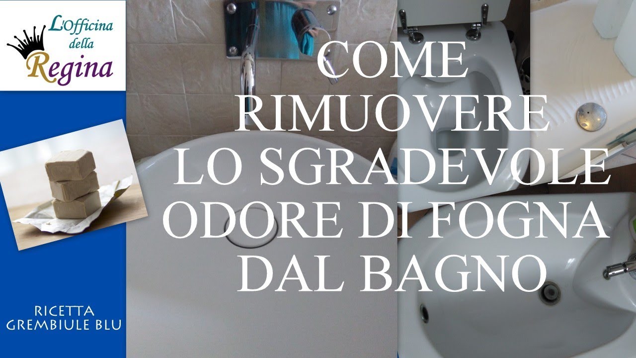 Come rimuovere lo sgradevole odore di fogna dal bagno youtube Cattivo odore bagno