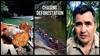 Bolivias National Parks Are Threatened By Logging Mafias