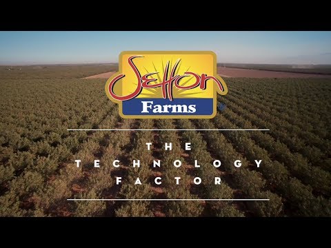 Setton Farms Segment 6 - Technology Factor