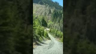 Ispy caught this while up in the woods #logginglife #truckingindustry