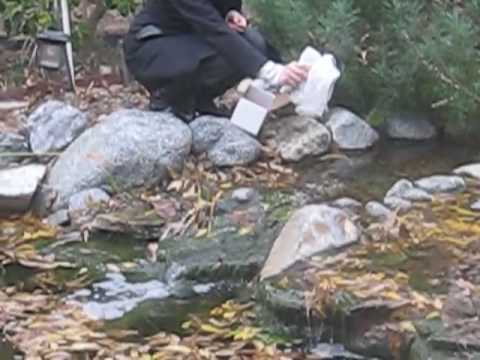 Spreading Lulu's ashes...