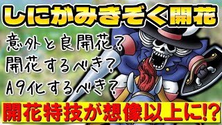 【ドラクエタクト】しにがみきぞく開花良さそう！？【開花特技の火力次第】