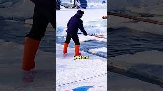 Суровые мужчины добывают лёд, чтобы напоить целый город!