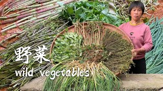 Grandma picks 5 kinds of wild vegetables and makes a table feast of sweet and sour wild vegetables!