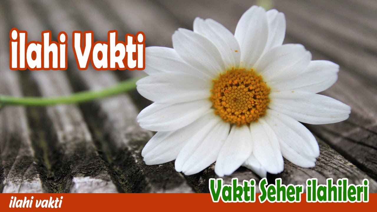 İlahi Vakti 💖 En Güzel Sevilen Karışık İlahiler  💖 İlahi Bahçesi