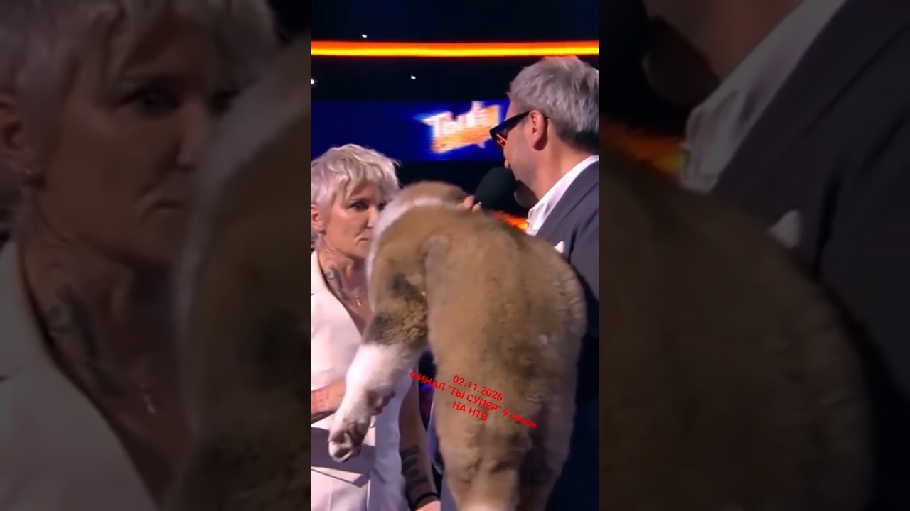 Диана Арбенина ❤️ в жюри "Ты супер" 9 сезон. ФИНАЛ 02.11.2025 НА НТВ.