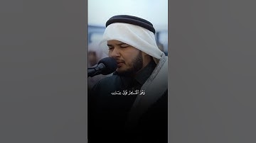 تلاوة من القرآن الكريم بصوت الشيخ صالح الأنصاري | سورة الأنعام آية رقم ٦١ | تلاوة جميلة خاشعة