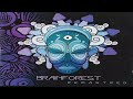 Brainforest – Brainforest (Remastered) | Full Mix