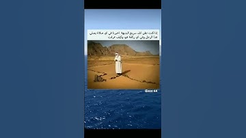 #quran #قرآن #سورة_الكهف #اسلام_صبحي #قران_كريم