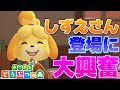 【あつ森】しずえスマイルに心を射抜かれた女【あつまれどうぶつの森】