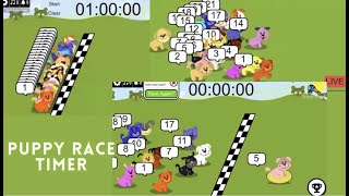DOG Timer Race