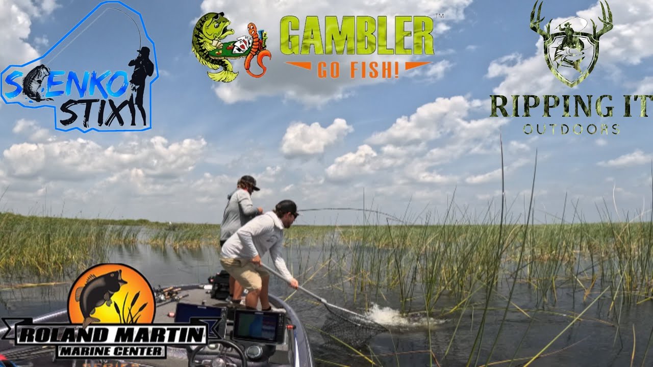 Giant Bass Love a Flippin Jig | Shallow Water Bass Fishing | Lake Okeechobee