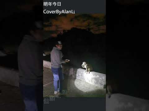 明年今日Cover by AlanLi🙂(no autotune)