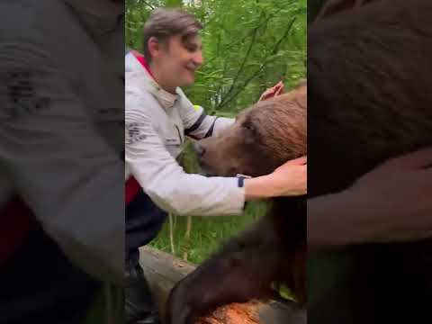 Гроу Фуд - отзыв о питании Grow Food