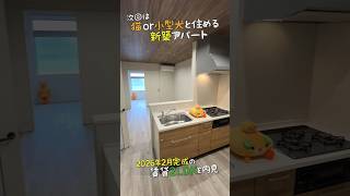 ペット可の新築2LDK賃貸😸2026年2月完成の猫・小型犬可と住めるアパートを内見ルームツアーin松山市