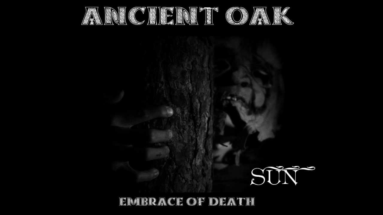 Ancient Oak - Sun