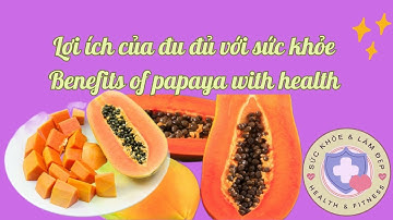 Lợi ích của đu đủ với sức khỏe | Benefits of papaya with health
