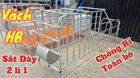 Mẫu Chuồng Nuôi Lợn Hậu Bị Chất Lượng Cao Chống Rĩ | Khởi Nghiệp TV