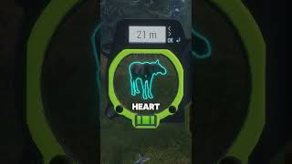 Stop Chasing Moose! Do THIS Instead 👀💡 | #theHunter #cotw