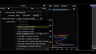 Learning Baselight Look #8 - Understanding Baselight Look's Colour Management Framework