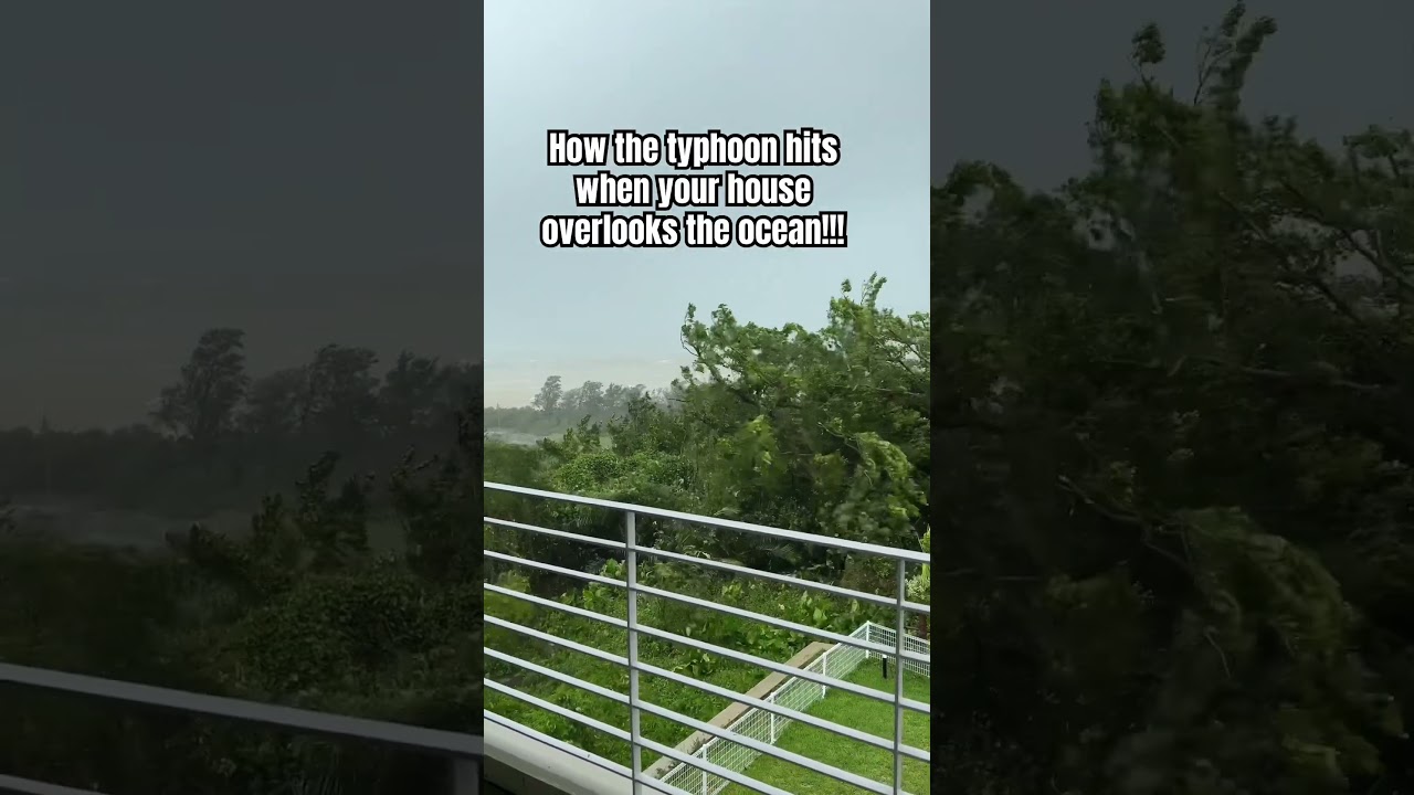 When the typhoon hits hard!!! 
