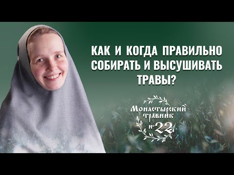 Заготовка лекарственных растений. Как собирать, высушивать и хранить травы?  Монастырский травник