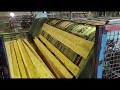 Автоматика-Вектор провела модернизацию линии сортировки пиломатериалов на заводе в Хабаровском крае