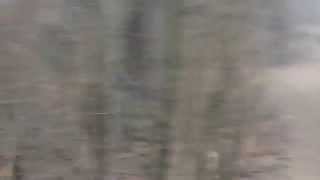 20150123 083349