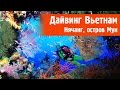 Дайвинг во Вьетнаме Нячанг. Остров Мун - Южно-Китайское море  | Diving Vietnam Nha Trang, Hon Mun