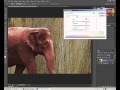 How To Change One Layer Color In Photoshop