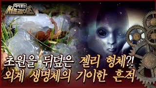 [다시보는 서프라이즈] 초원을 뒤덮은 젤리 형체! 외계 생명체의 기이한 흔적 MBC161106방송