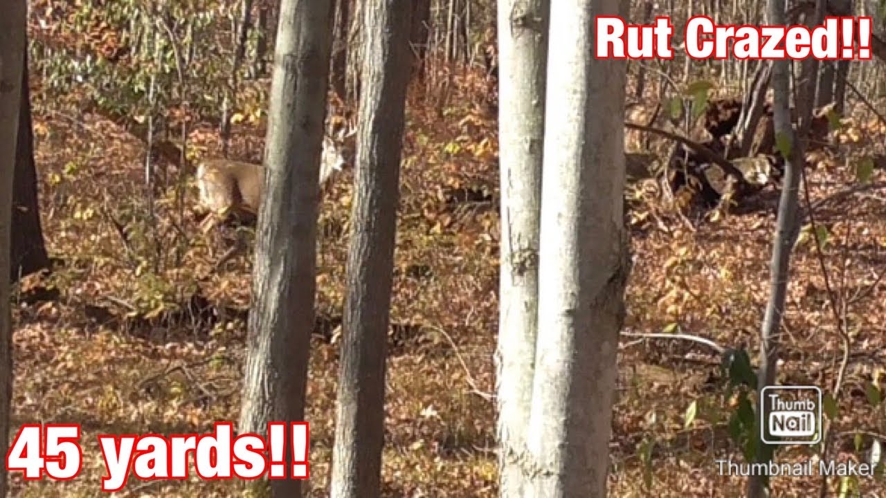 EP:7 CRAZY Rut Movement In Rochester (GIANT Spotted)!!