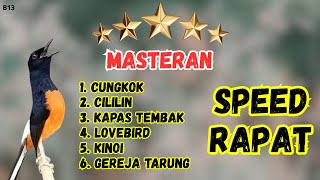 Download Lagu 🔴 GACOR RAPAT MASTERAN MURAI BATU GACOR MP3