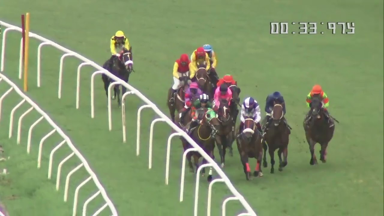 JUSTINO with P Trevor up wins The Timeless Plate- Division I 2023